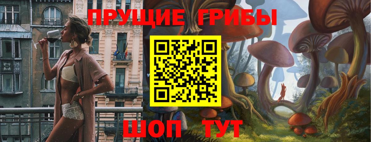 Псилоцибиновые грибы GOLDEN TEACHER  Вход с VPN  Кстово 