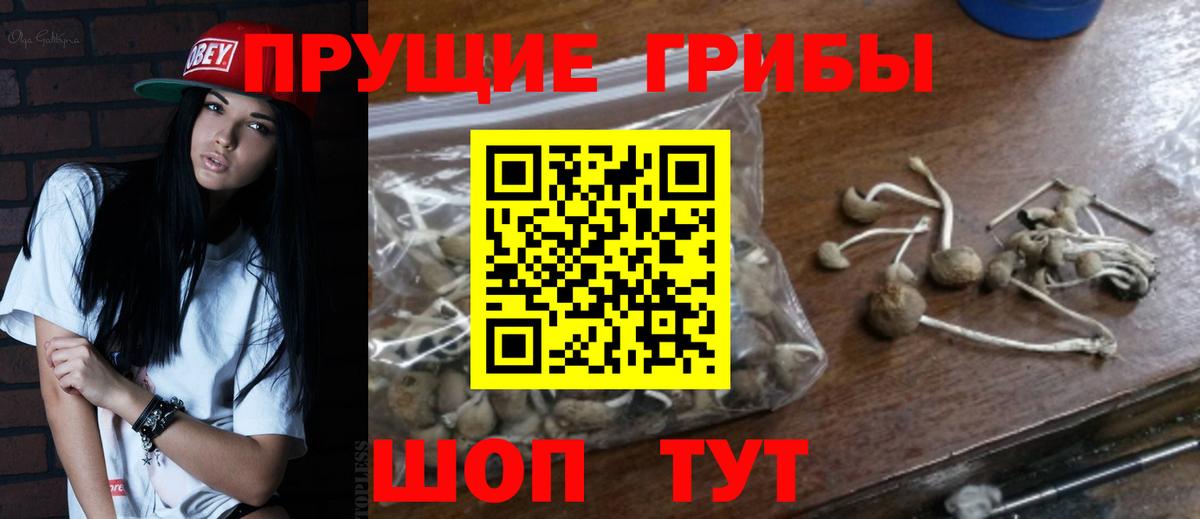 Галлюциногенные грибы GOLDEN TEACHER Кстово
